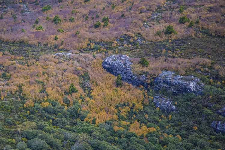 tasmania photo tour example 21